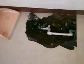 庐山卫生间测漏水多少钱